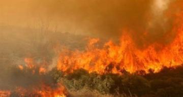 Güney’de iki ormanlık alanda yangın