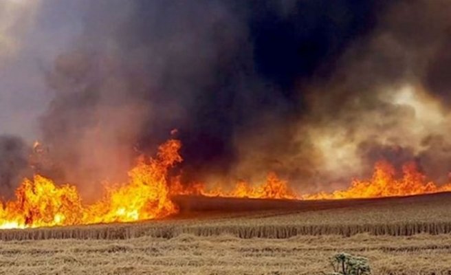 Serdarlı’da bir yangın daha …100 metrekarelik alanda kuru otlar yandı