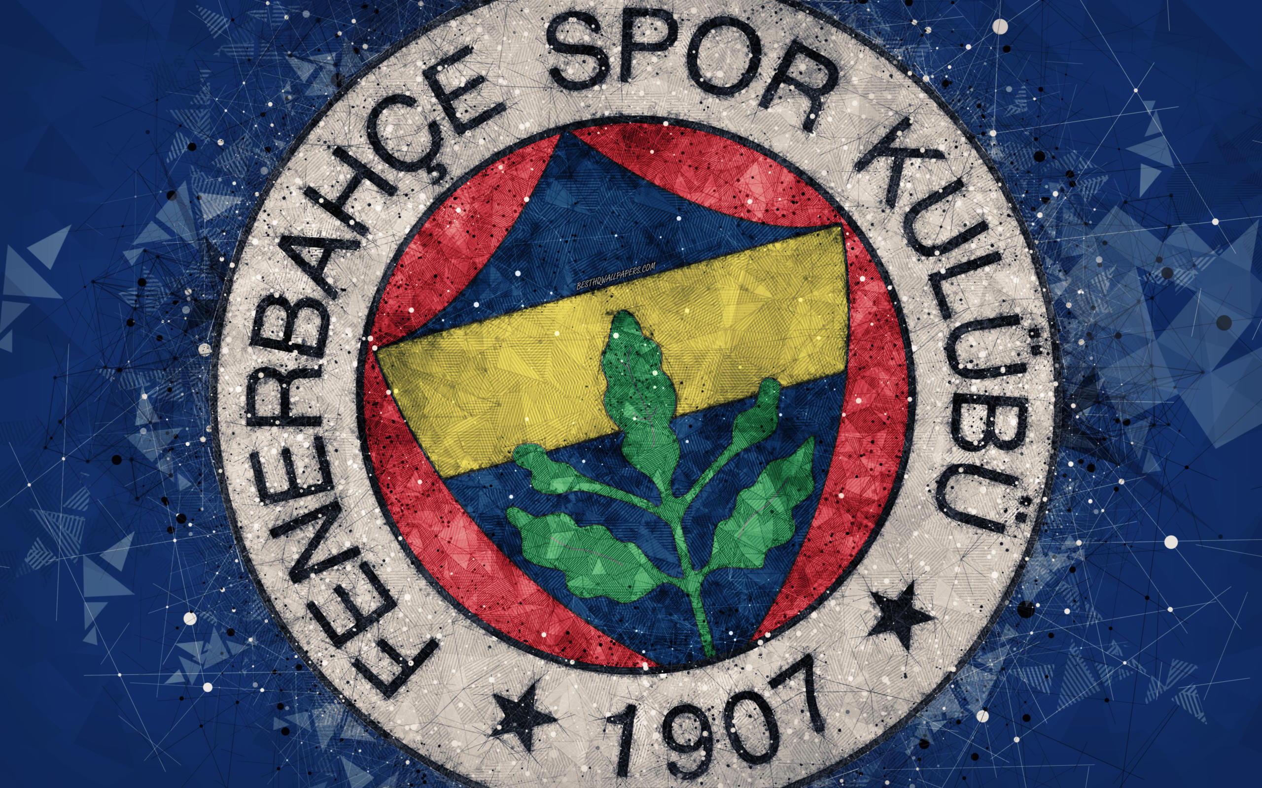 Fenerbahçe Kulübü ve başkanı Ali Koç PFDK’ye sevk edildi
